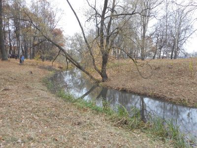 Парк Орловский с островом на Орловском пруду