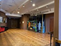 Санкт-Петербургский государственный театр «Мюзик-Холл»