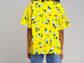 Фуфайка трикотажная для девочек (футболка)