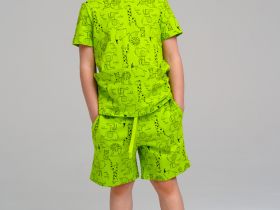 Тапочки для мальчиков