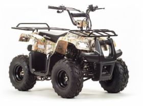 Квадроцикл MOTOLAND 110 Rider (2021 Г.)