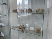 Балаганский историко-этнографический музей им. А. С. Башинова