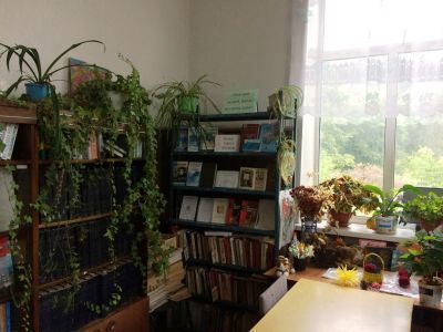 Бобриковская сельская библиотека