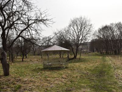 Усадьба "Богословка", парк