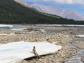 Восточная Якутия: карта твоих новых приключений