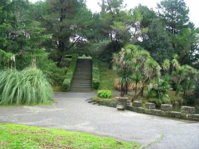 Дендрологический парк совхоза "Южные культуры"