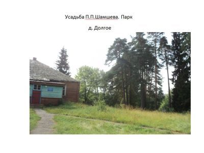 Усадьба П.П. Шамшева. Парк