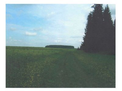 Священная роща