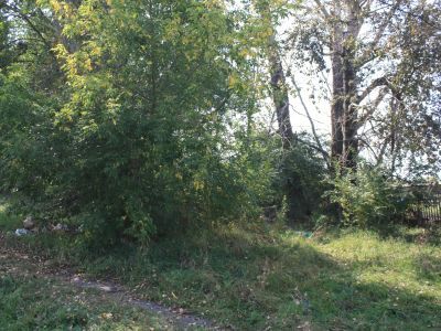 Братская могила 7 партизан