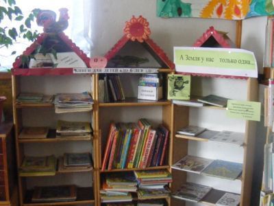 Библиотека № 11 им. Ф. Ф. Павленкова с. Зипуново