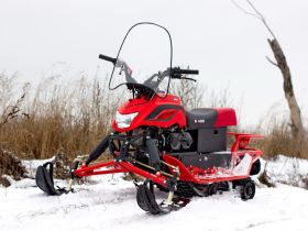Снегоход IRBIS Dingo T150