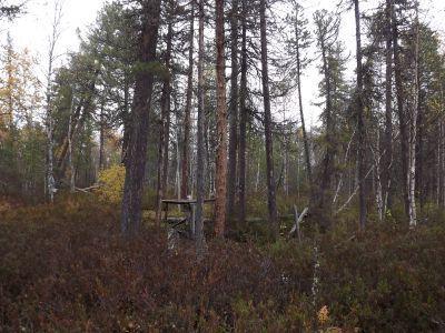 Святилище Чохрынь-ойки, в устье р. Тапсуй