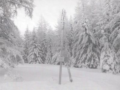 Могила Григорьева Михаила Дмитриевича (1902-1922) - члена ВКП(б), члена уездного комитета комсомола, расстрелянного белобандитами