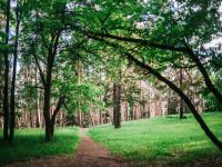 Парк имени В. И. Ленина г. Сарапула