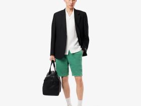 Мужские шорты Lacoste из хлопка