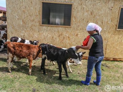 В сельском хозяйстве Якутии руководящие должности занимают 159 женщин