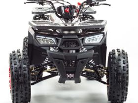 Квадроцикл MOTOLAND Wild 150