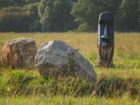 Концертная площадка «Дикая мята»