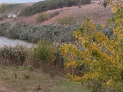 Единство русского народа