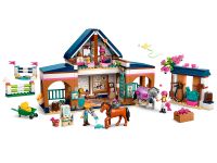 Friends 42688 Конструктор Академия верховой езды