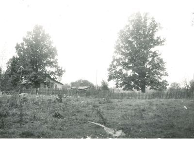 Усадьба И.Н.Воскресенского. Парк