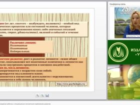 Индивидуальное сопровождение ребенка с эмоционально-личностными проблемами развития