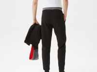 Мужские спортивные брюки Lacoste стандартного кроя