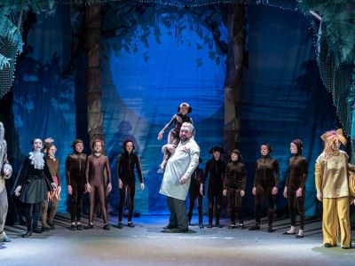 Билеты на Айболит (Алеко) / Театр | Афиша | ИнфоТаймс