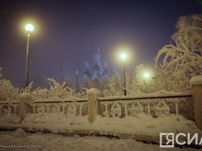 Пока в Якутии была ночь: случаи микоплазменной инфекции, новая новогодняя марка, массовое отравление
