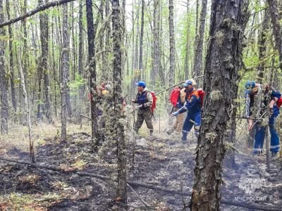 Восемь лесных пожаров действуют в Якутии