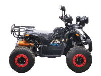 Квадроцикл BISON Kids 125 LD