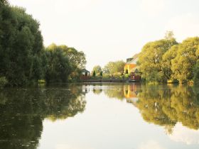 День на Диком западе