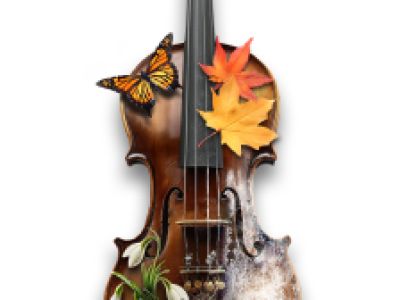 Emotions: Времена года