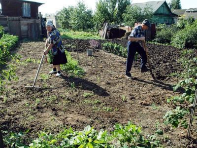 Росреестр: Россиянам больше не нужно подтверждать старые границы своих 6 соток