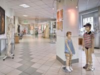 Музей Центра Илизарова