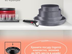 Сковорода Tefal Ingenio Natural Force 24 см L3960402