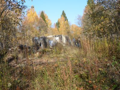 Шестаковский - дендралогический парк, основан в 60 г. XIX в.