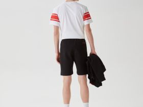 Мужские шорты Lacoste
