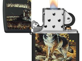 Зажигалка ZIPPO Linda Picken с покрытием Black Matte, латунь/сталь, черная, матовая