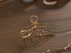 Заколка Cozy Home V