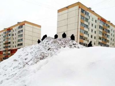 Вывезенный снег с улиц Новгорода собрали в гору высотой с пятиэтажный дом