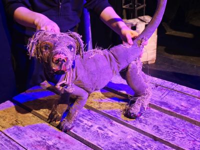 Билеты на Лада, или Радость (Небольшой драматический театр) / Театр | Афиша | ИнфоТаймс