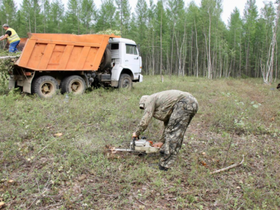 В городском парке Мирного начались работы