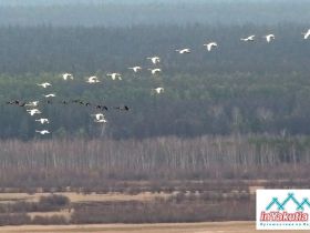 По Кангаласскому Мысу