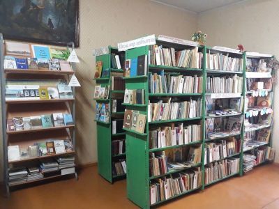 Шаготская сельская библиотека