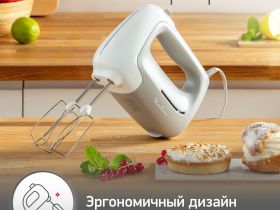 Ручной миксер Moulinex Prepmix HM450B10