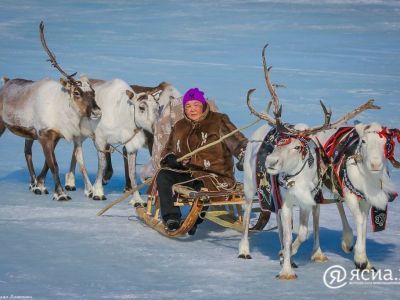 В Якутии эксперты из Норвегии делятся опытом ведения традиционного хозяйства