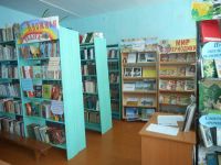 Чайковская библиотека