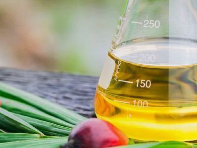 Из-за скачка цен на подсолнечное масло в Великобритании переходят на пальму