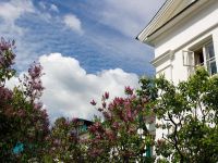 Музей-усадьба Л. Н. Толстого «Ясная Поляна»